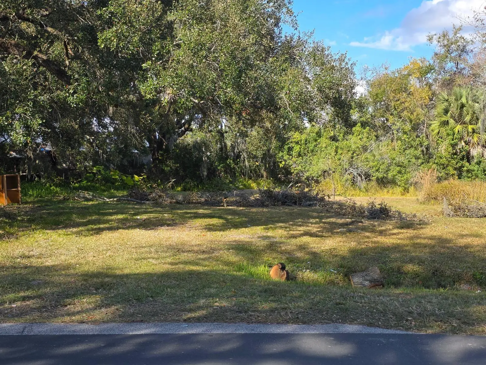 403 Greenup Street, FL