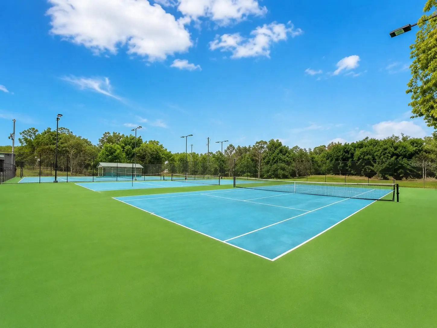 10034 Brightfield Court, FL