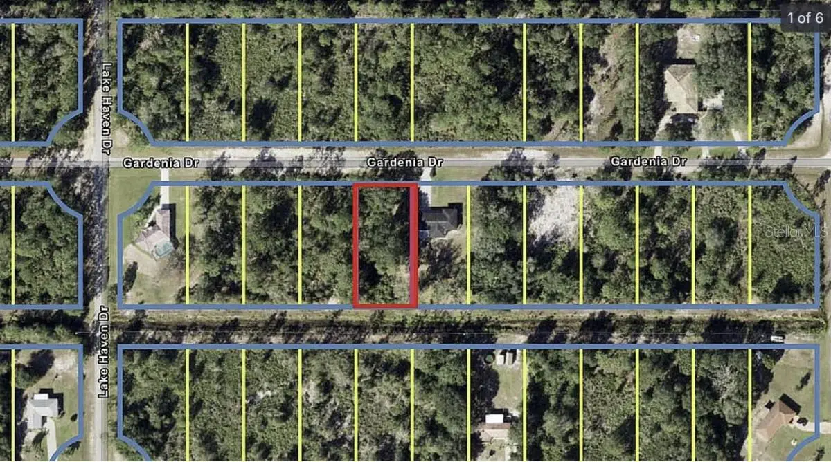Gardenia Drive, FL