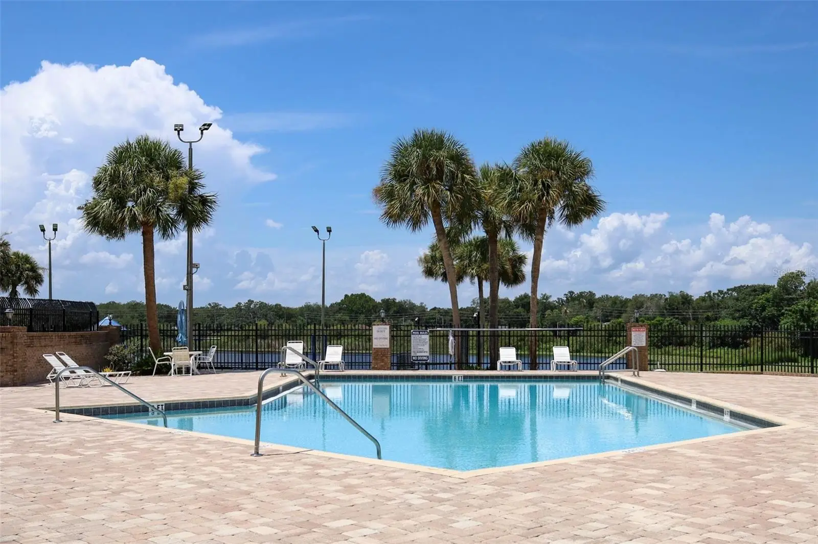 1042 Piedmont Lakes Boulevard, FL