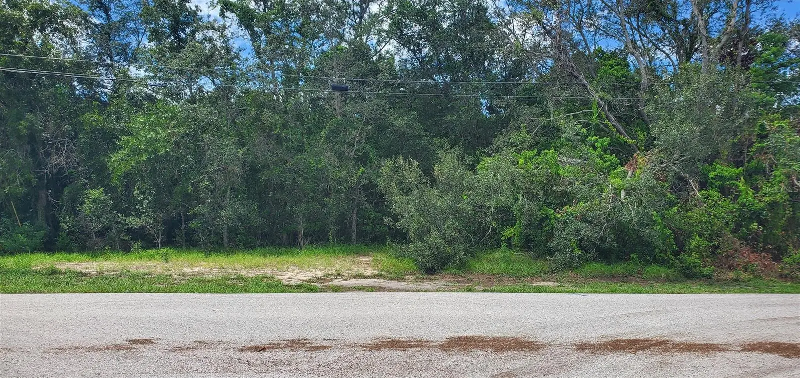 SPRING HILL, FL