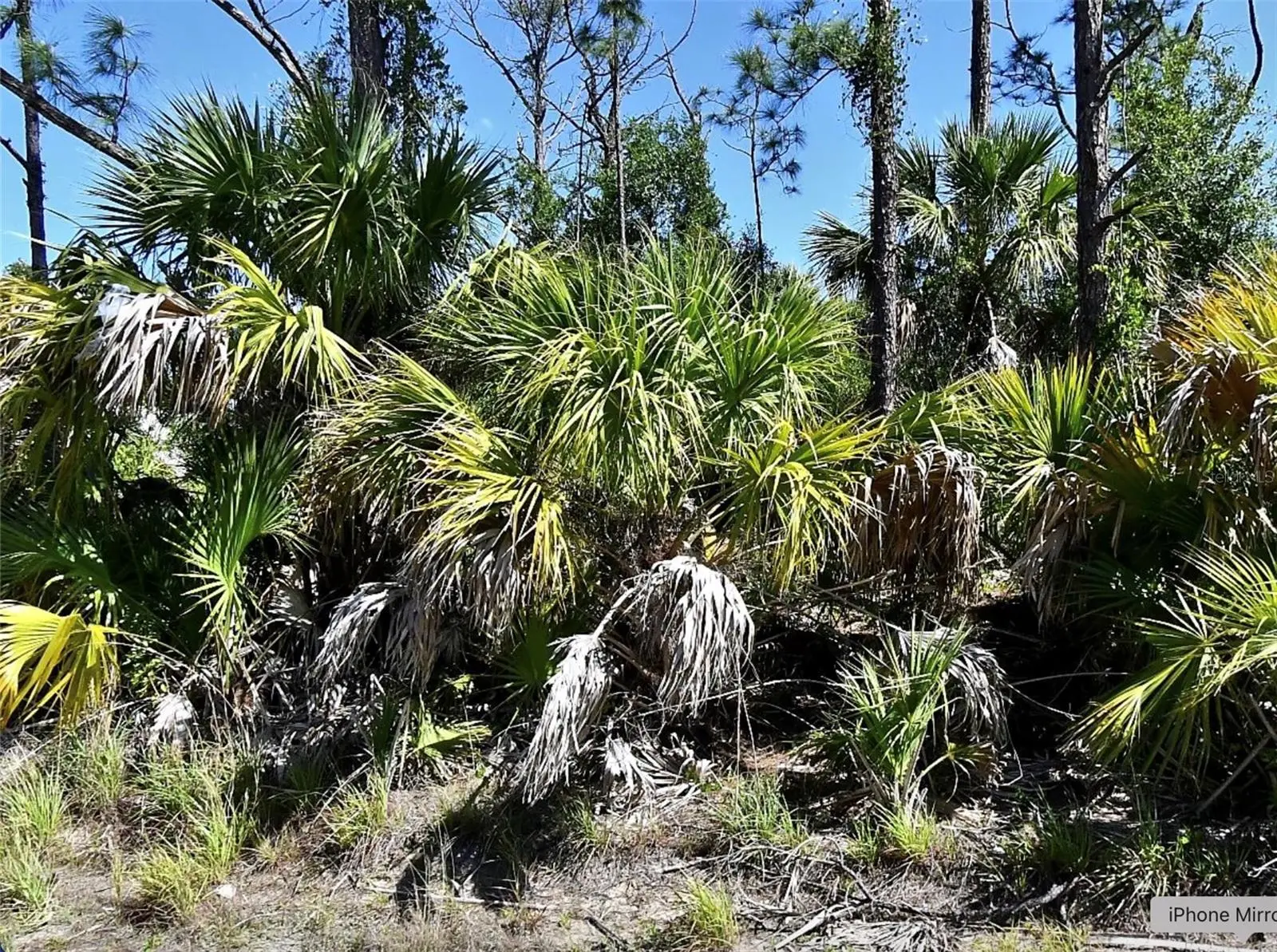 Guttenburg Road, FL