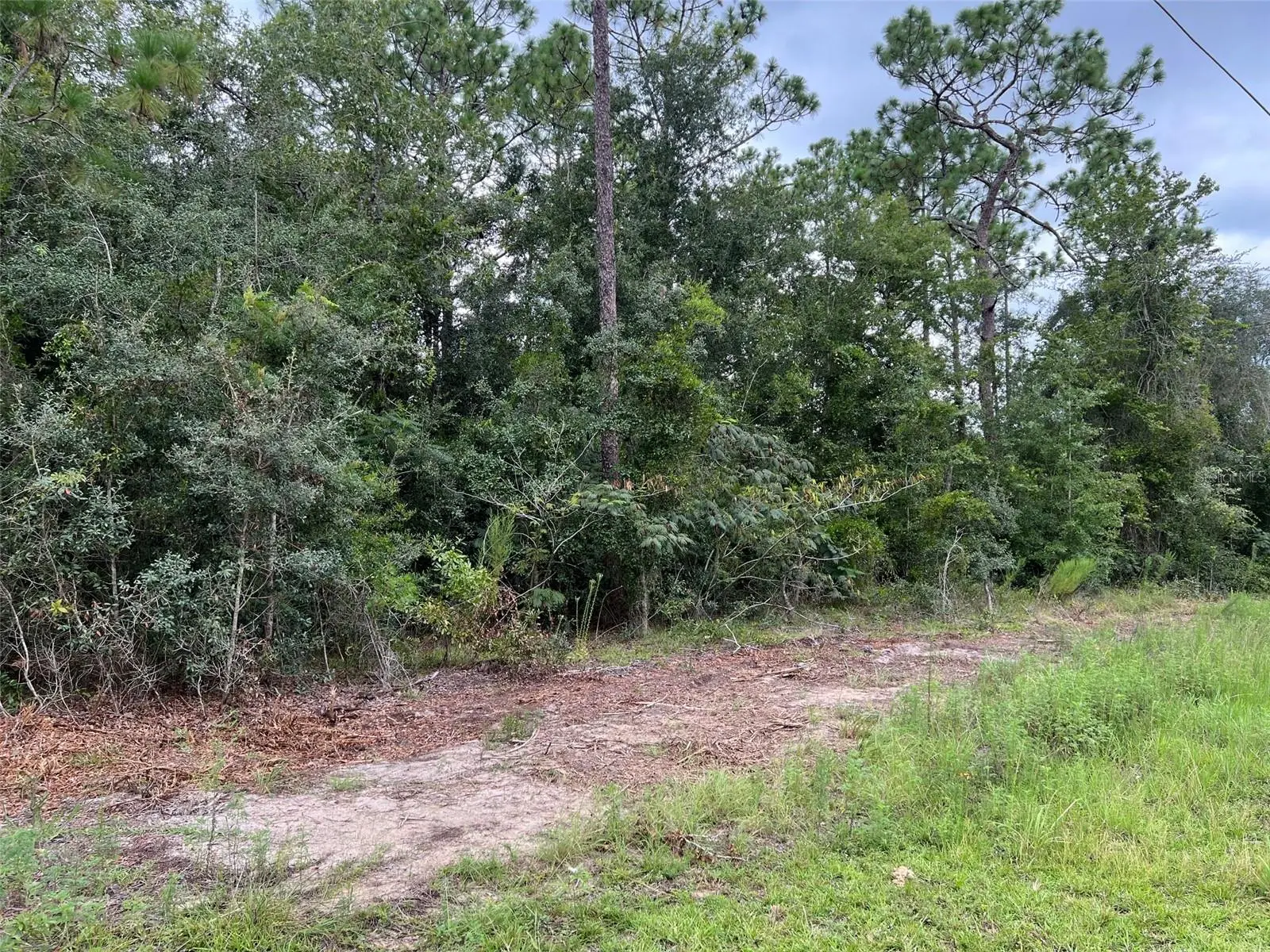 Tbd 167th Avenue, FL
