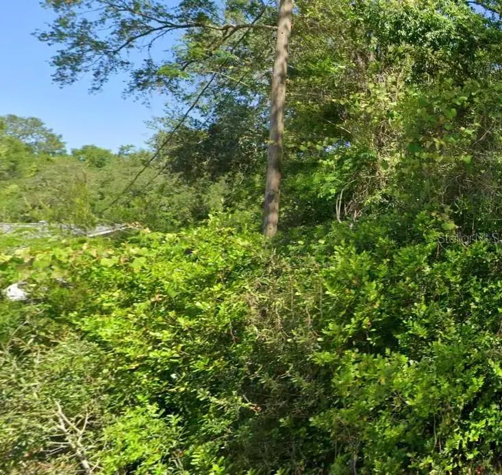 19667 Flamingo Drive, FL