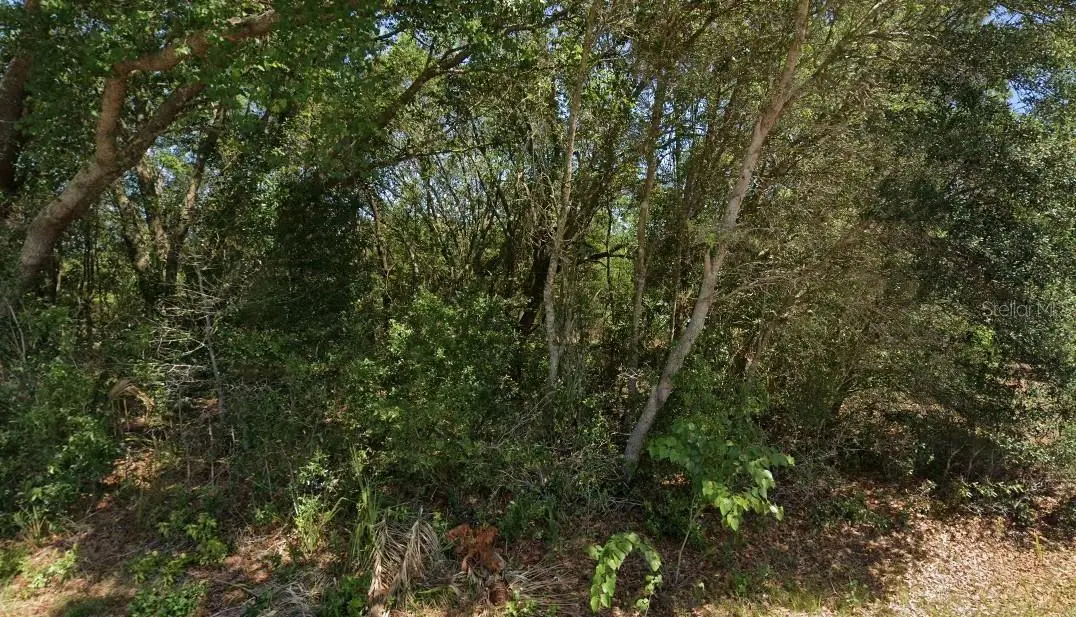 19901 Flamingo Drive, FL