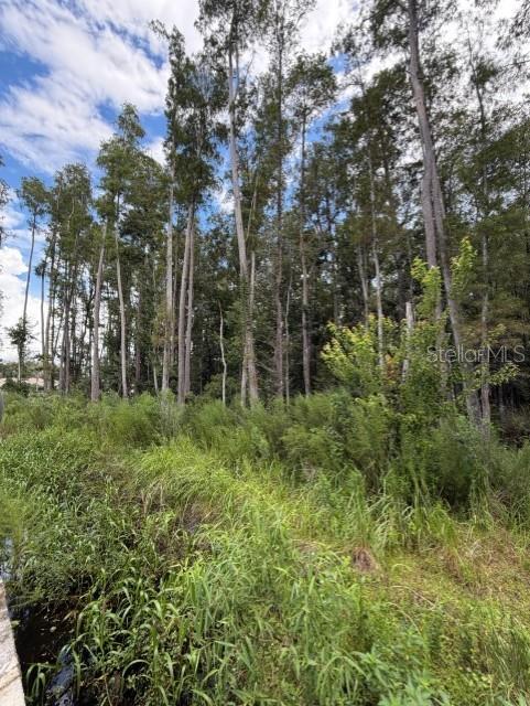 Wesley Chapel Blvd, FL