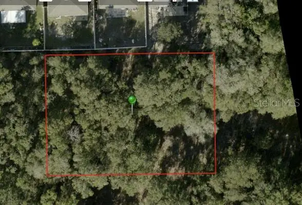 Ivy Avenue, FL