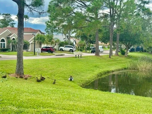 2828 Runyon Circle, FL