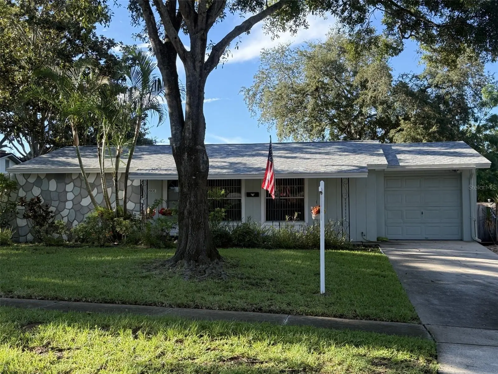 2905 Lemonwood Street, FL