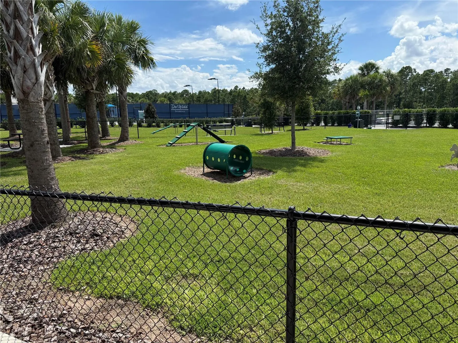 2511 Pine Preserve Court, FL