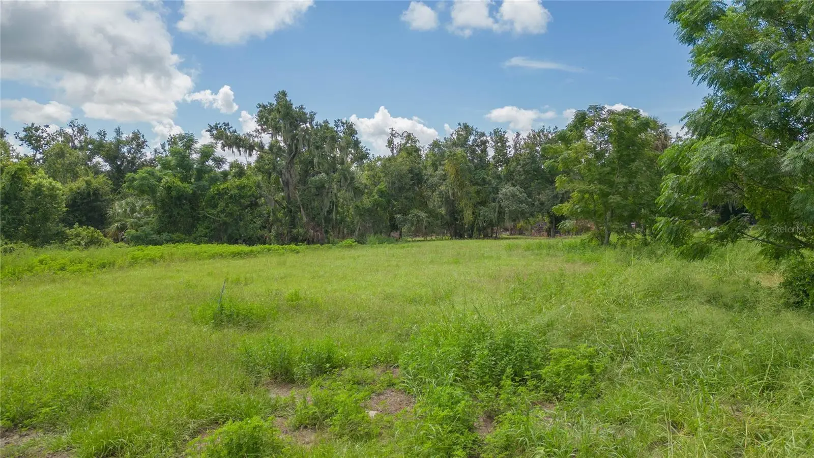 15810 Colding Loop, FL
