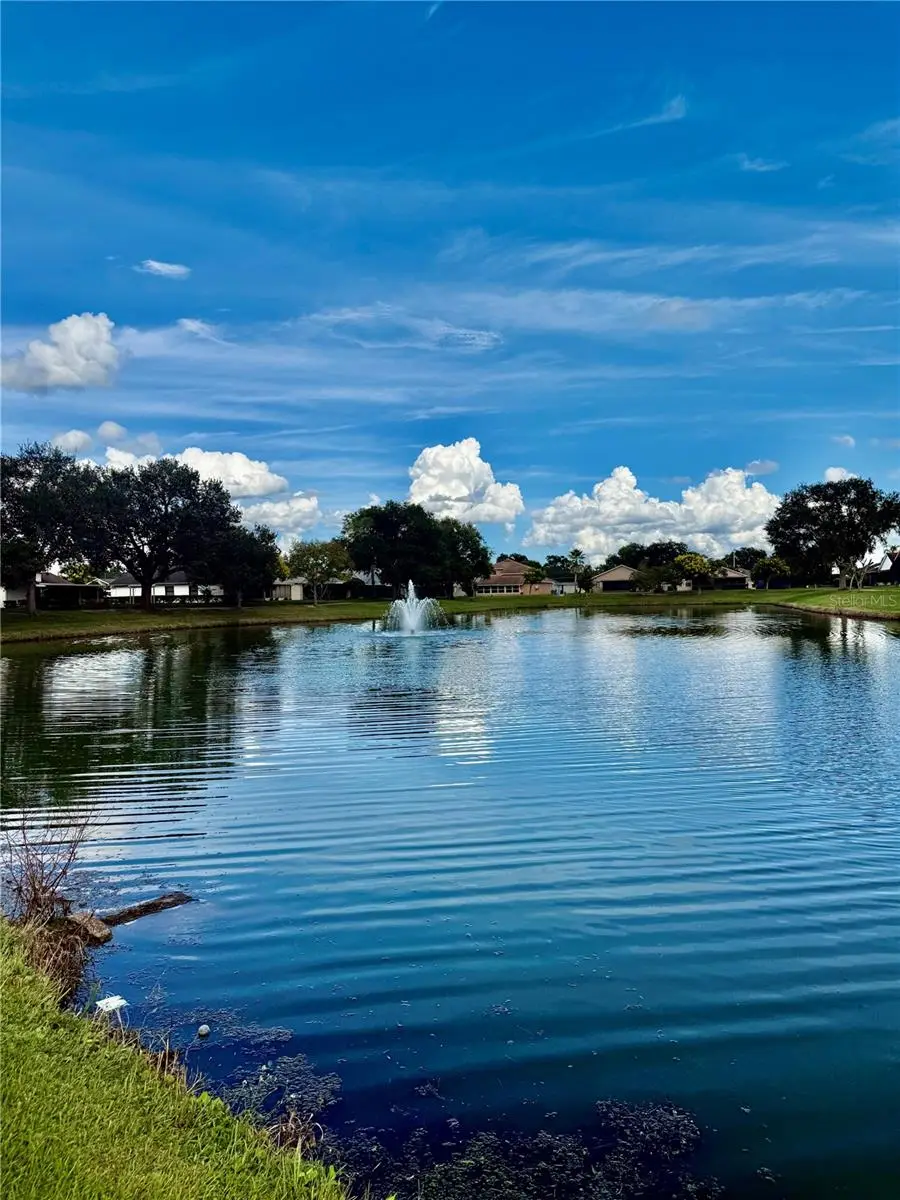 2649 Whalebone Bay Drive, FL