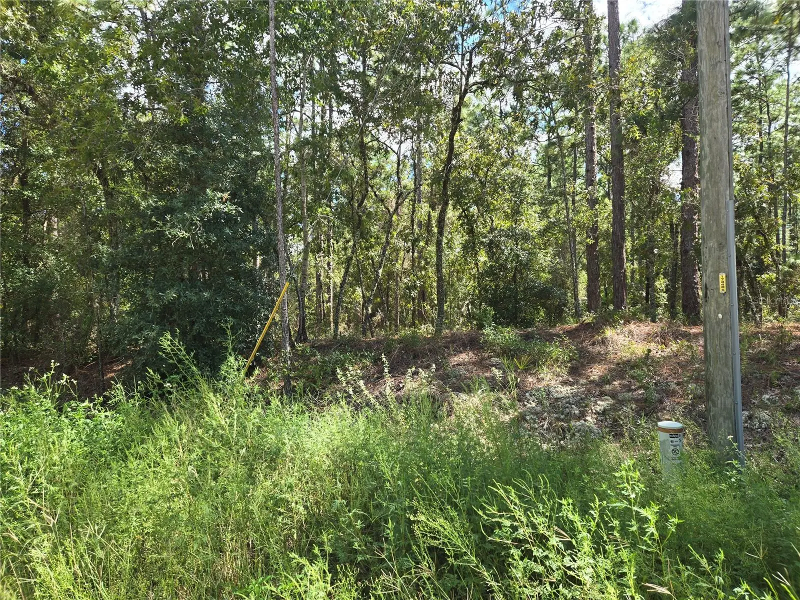 76th Lane, FL