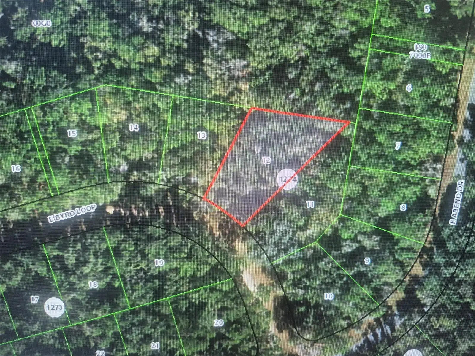 893 Byrd Loop, FL