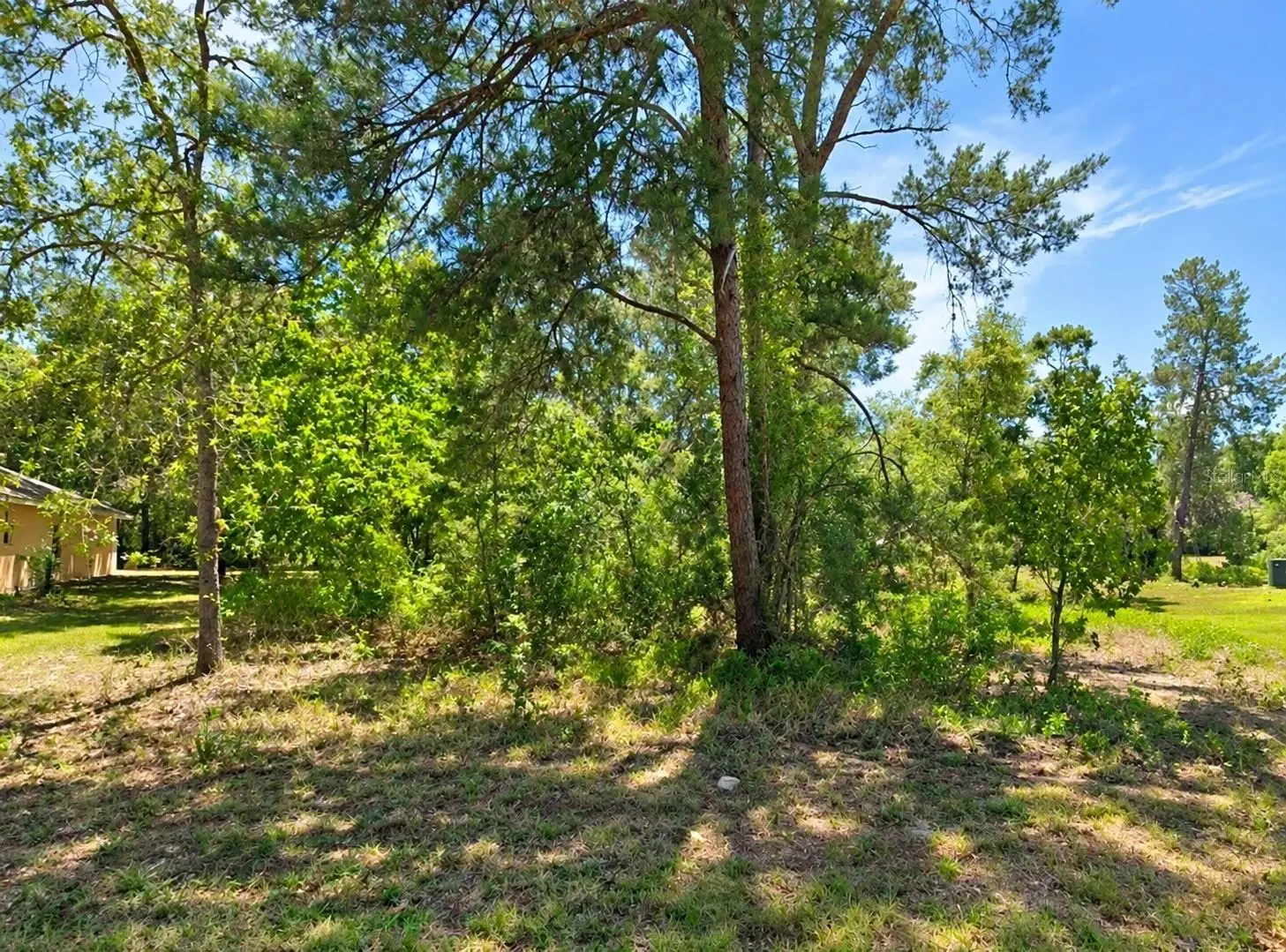 10 Dracaena Court, FL