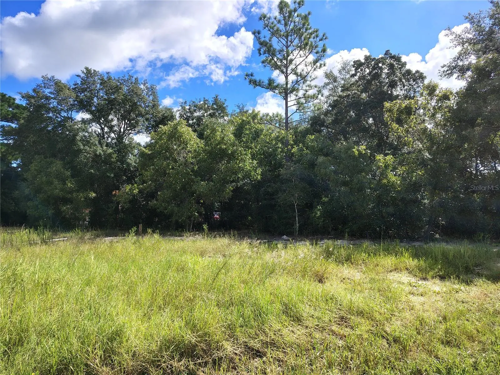 Silver Springs Shores Unit16, FL