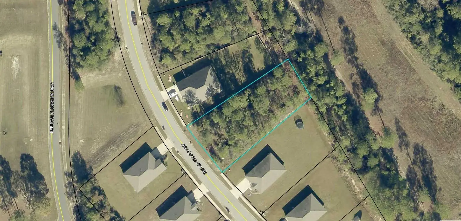 6413 Arcadia Bluffs Avenue, FL
