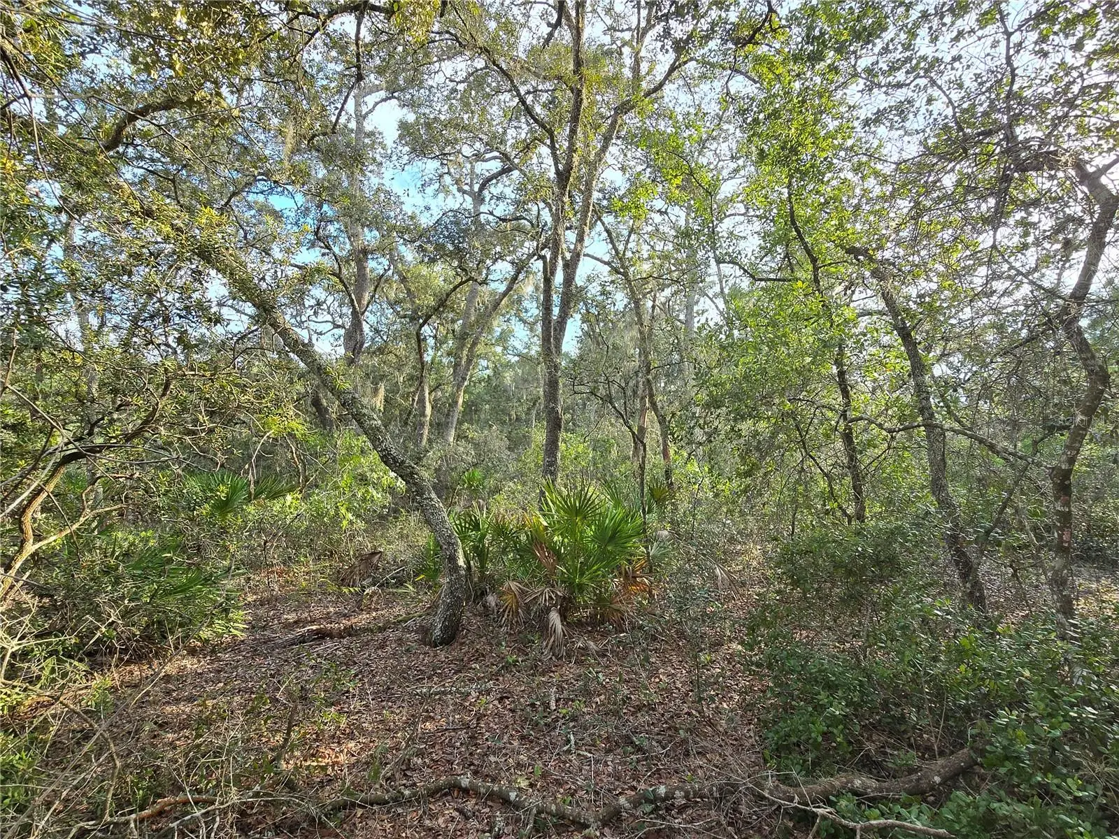Fisher Way, FL