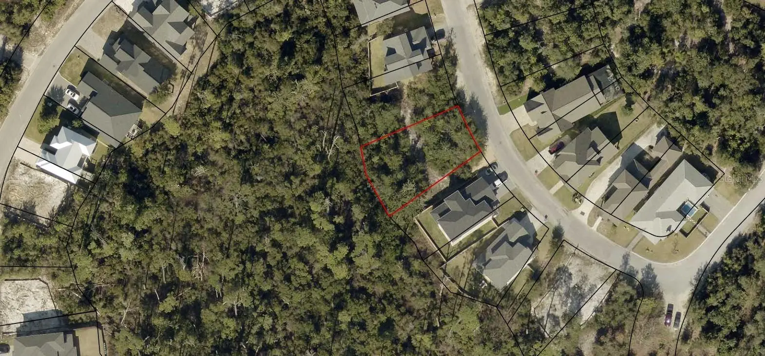 3910 Magnolia Bluff Lane, FL