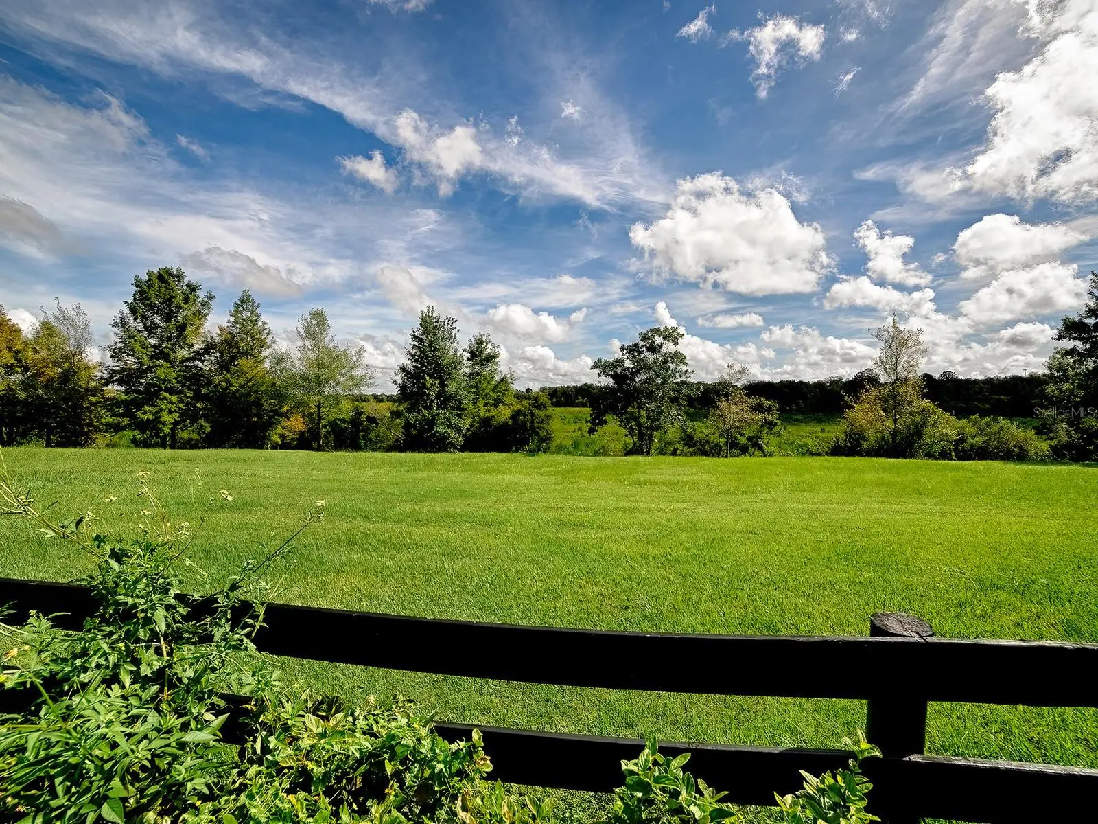 1089 Vance Trail, FL