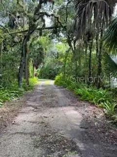 2310 Salt Creek Trail, FL