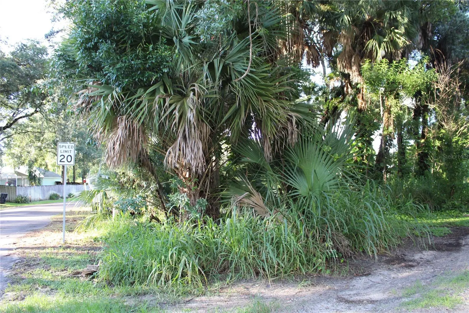 7023 Jasmine Avenue, FL