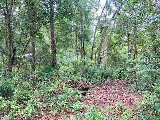 407 Raulerson Road, FL