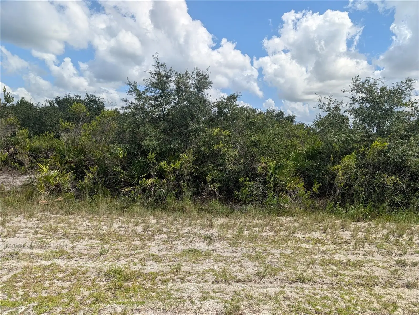 Sarasota Drive, FL