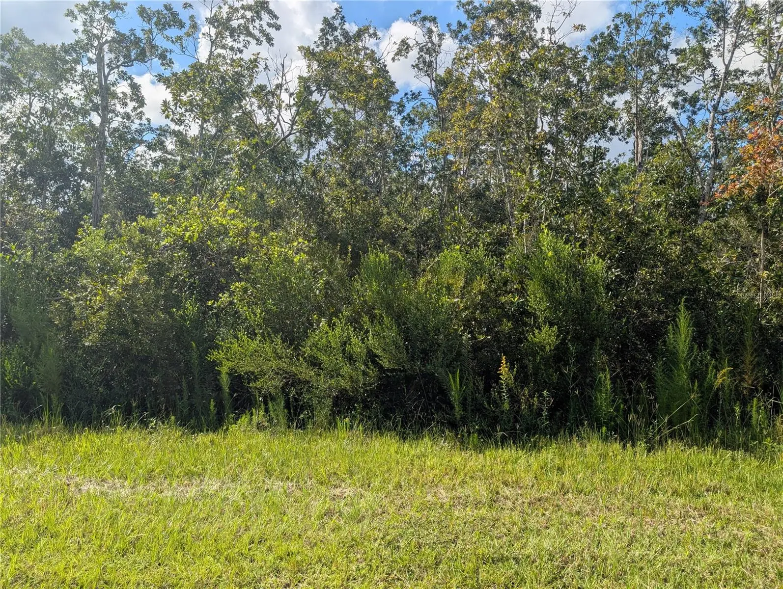 313 Bougainville Drive, FL