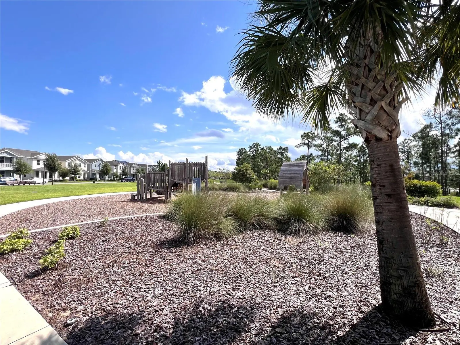 15173 Summer Harvest Street, FL
