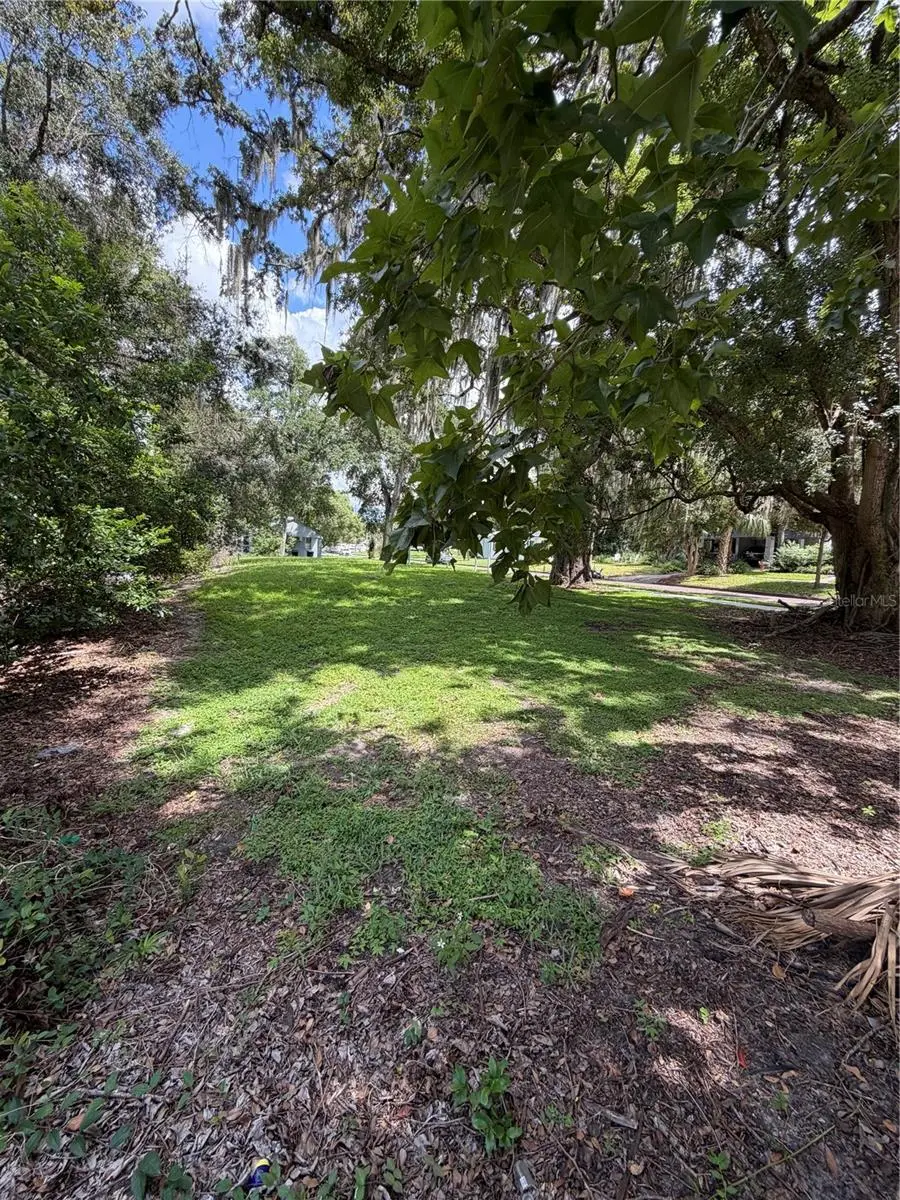2203 Washington Street, FL