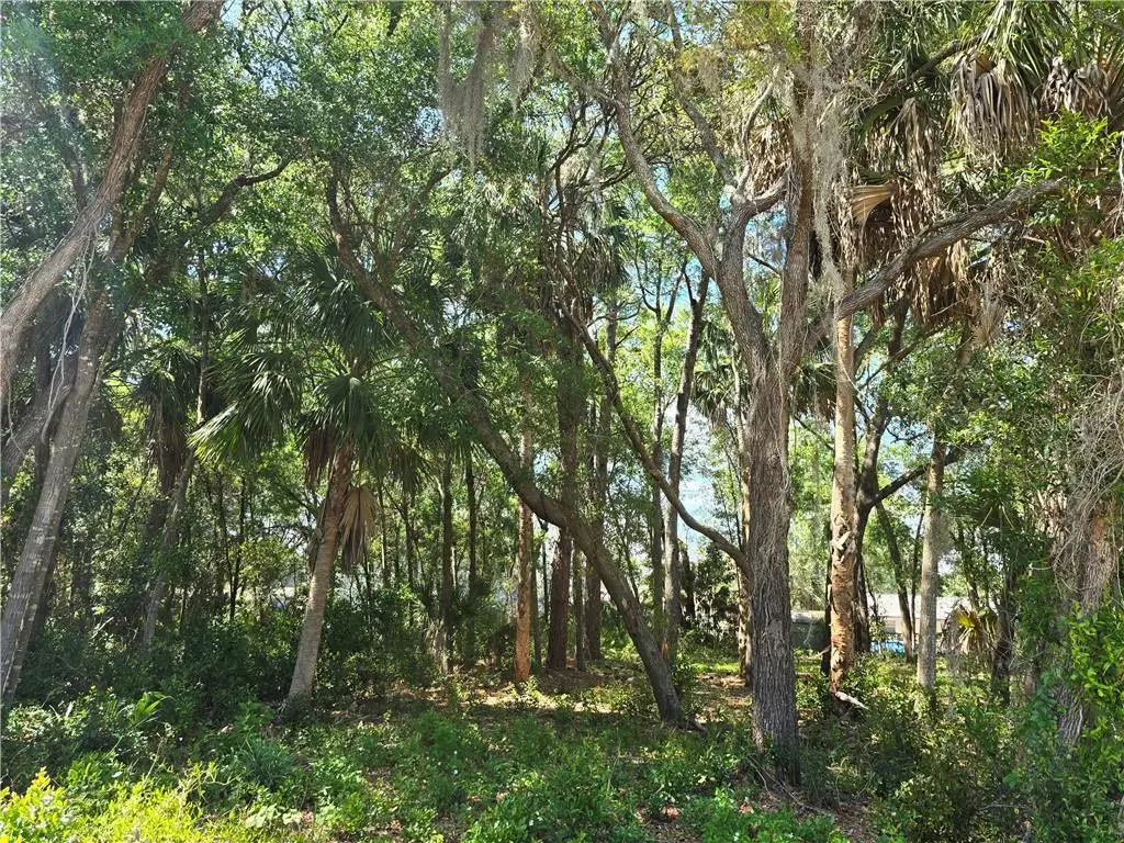 7075 Crestview Lane, FL