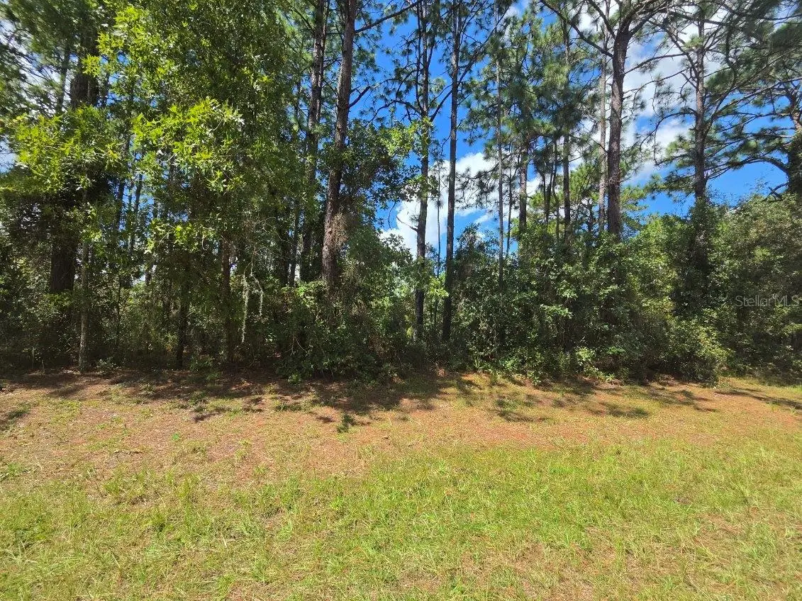 00 Sw 81st Ter, FL
