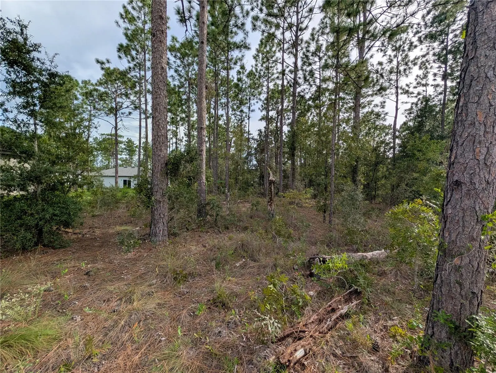 640 Heronsbill Lane, FL