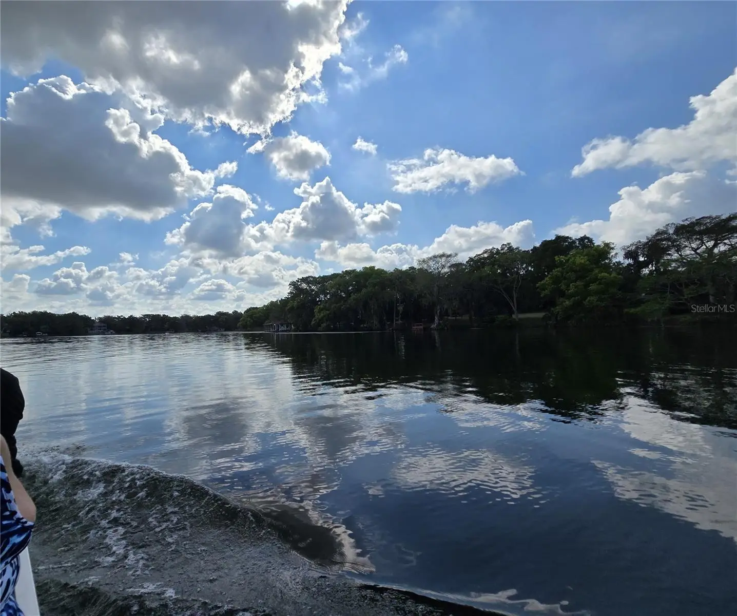 786 Canton Avenue, FL
