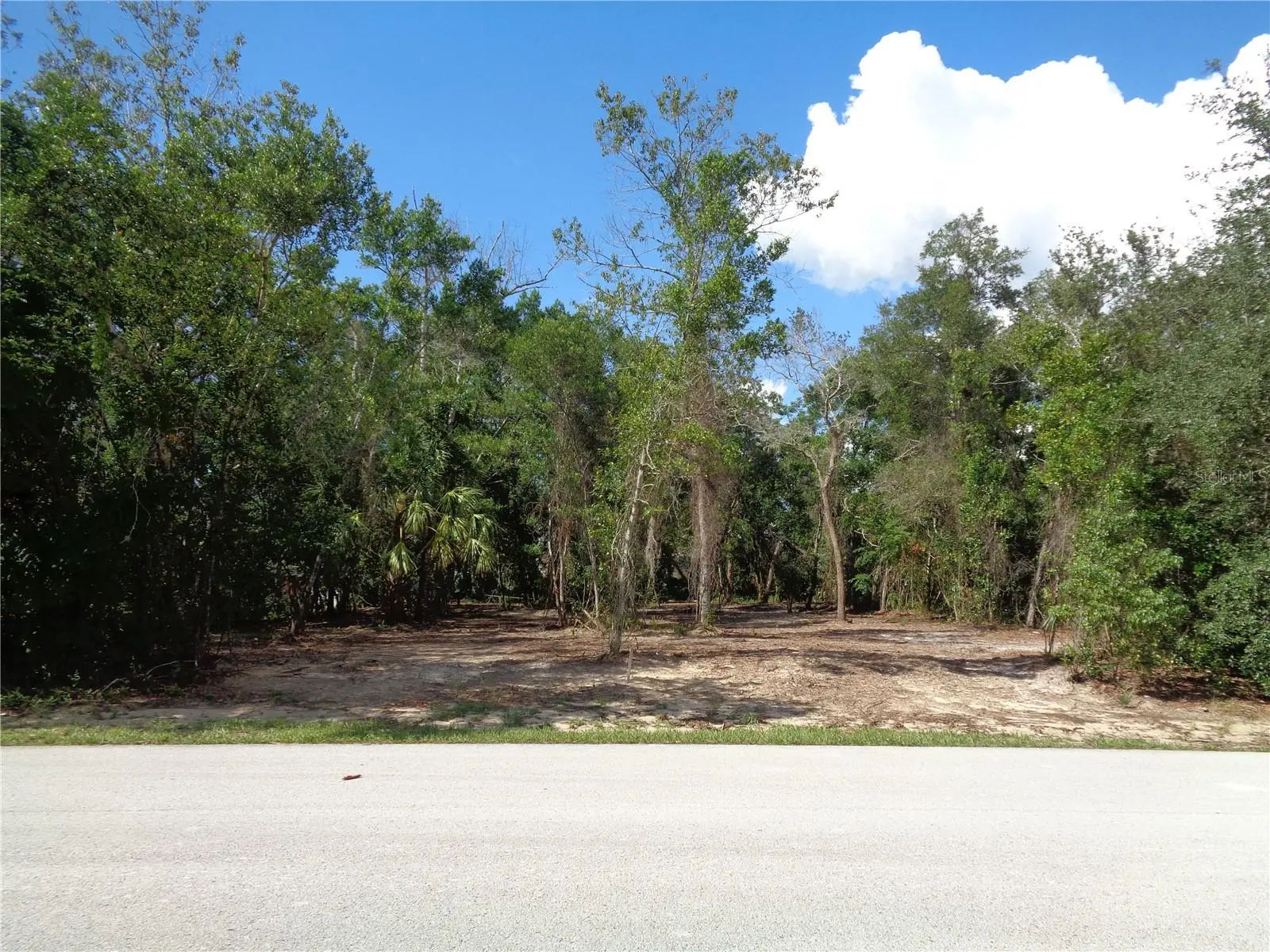 8007 Chaucer Drive, FL
