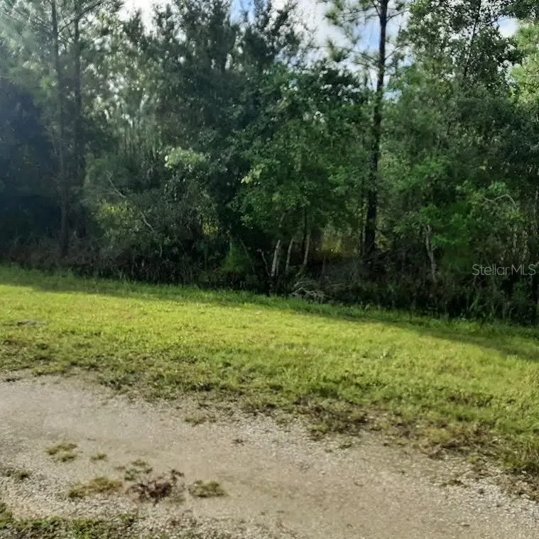 1013 Portulaca Drive, FL