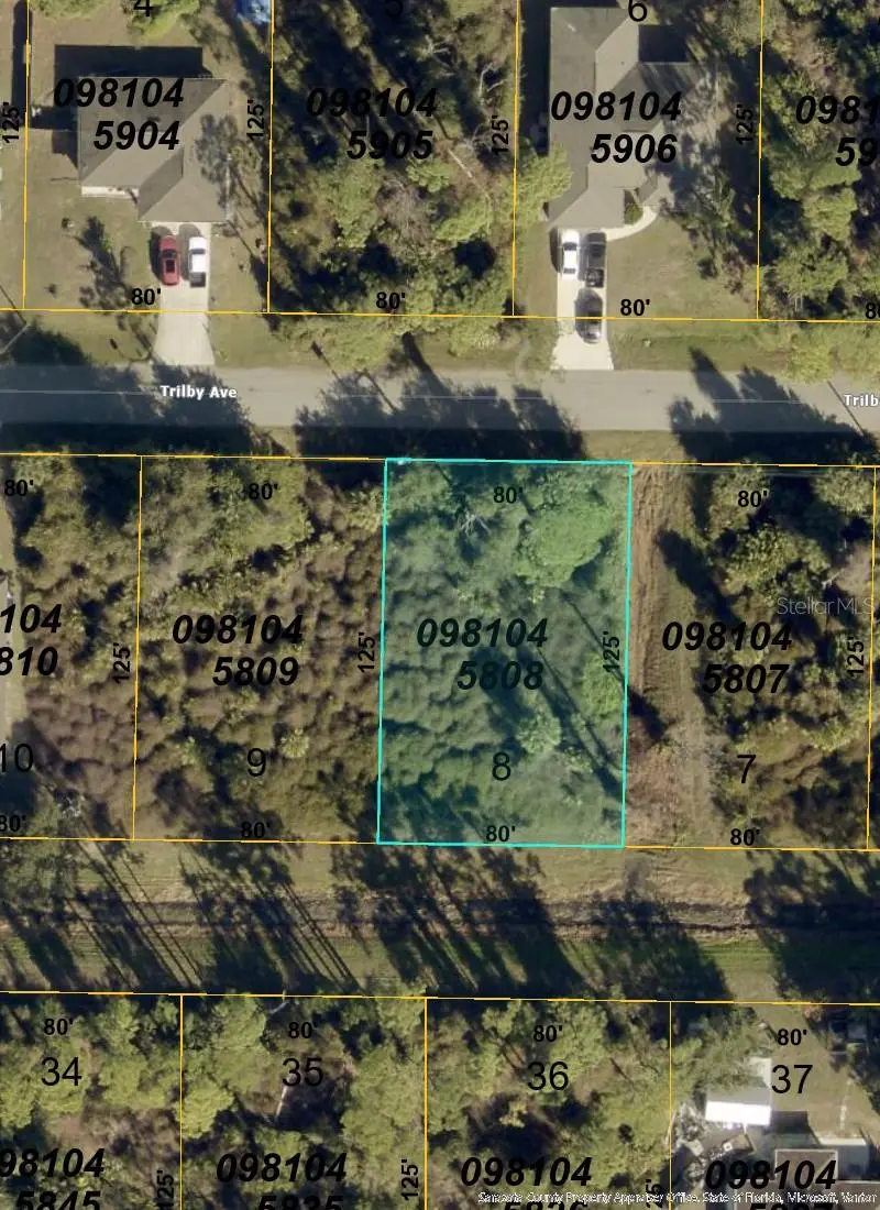 Trilby Avenue, FL