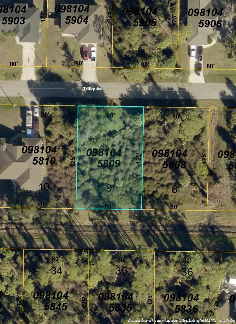 Trilby Avenue, FL