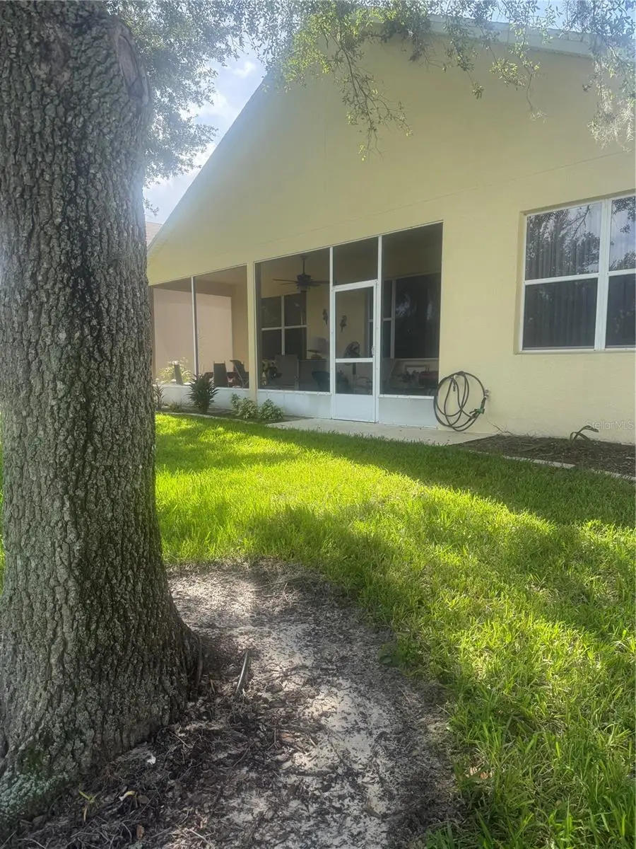 803 Wolf Creek Street, FL