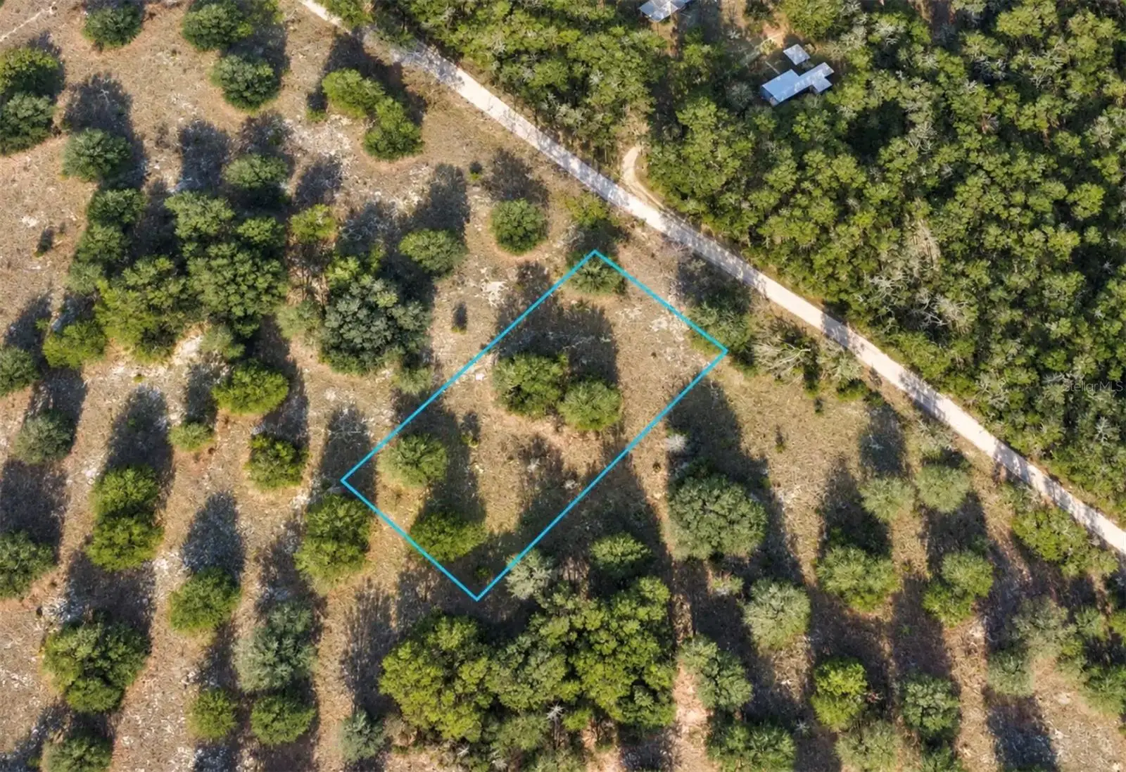 Off Nw Cr 138, FL