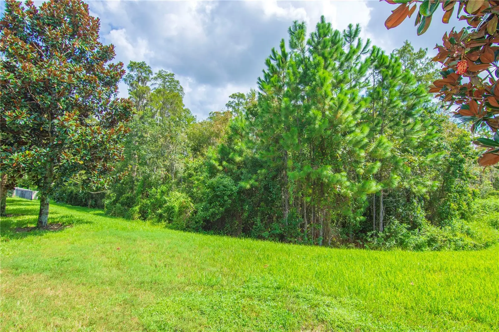 8091 Bowery Drive, FL