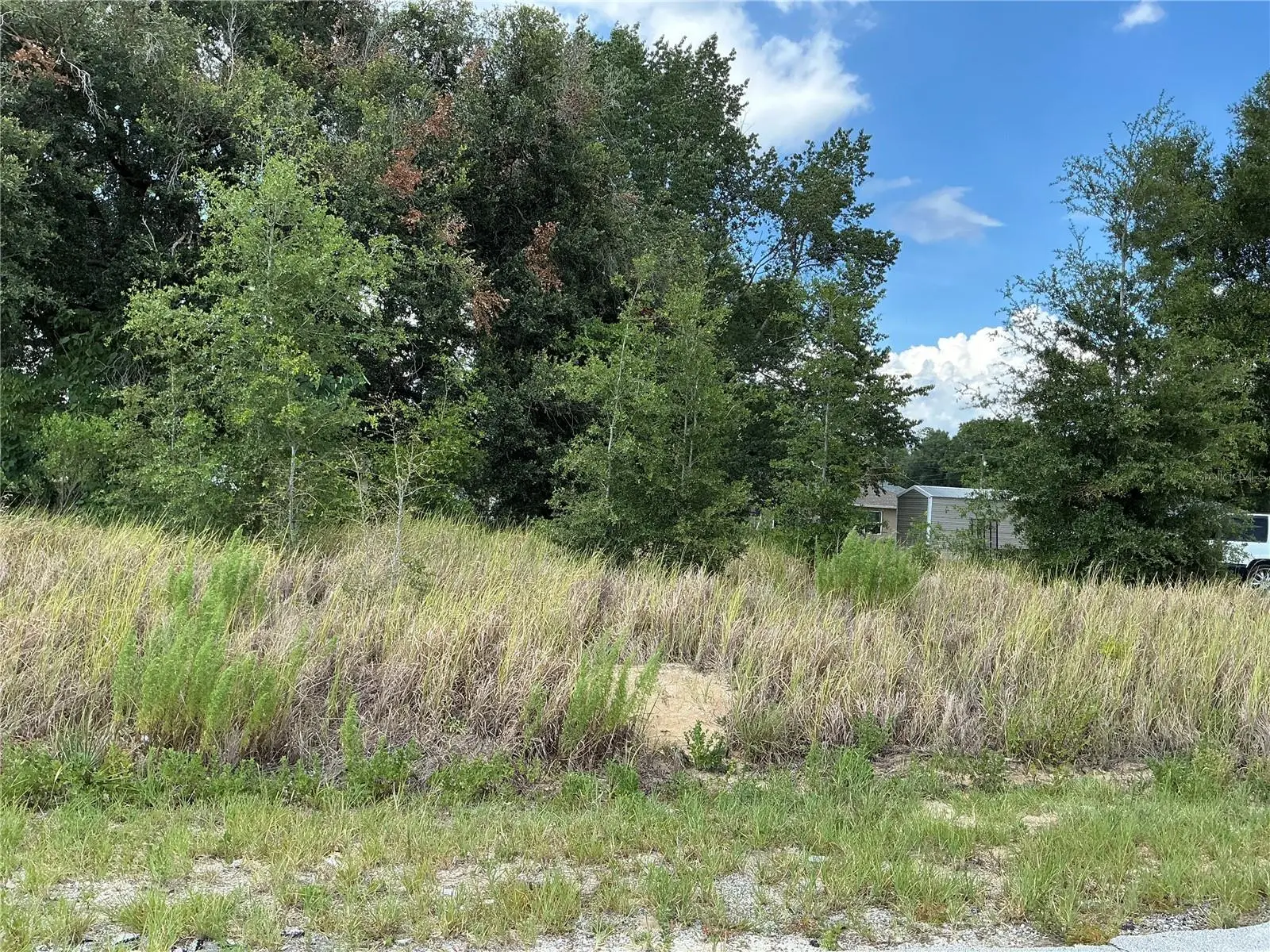 Dogwood Trail Course, FL