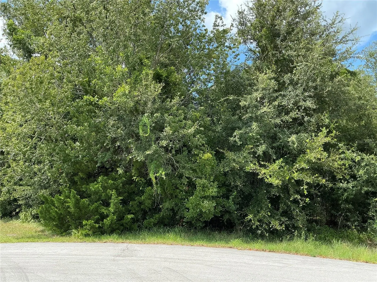 Dogwood Trail Run, FL