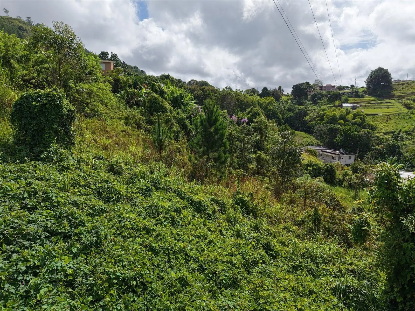 Pr 772 Km 4.9 CañAbon Ward, PR