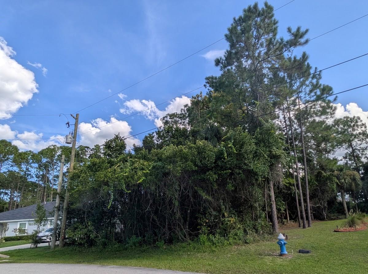 7 Seckel Ct, FL