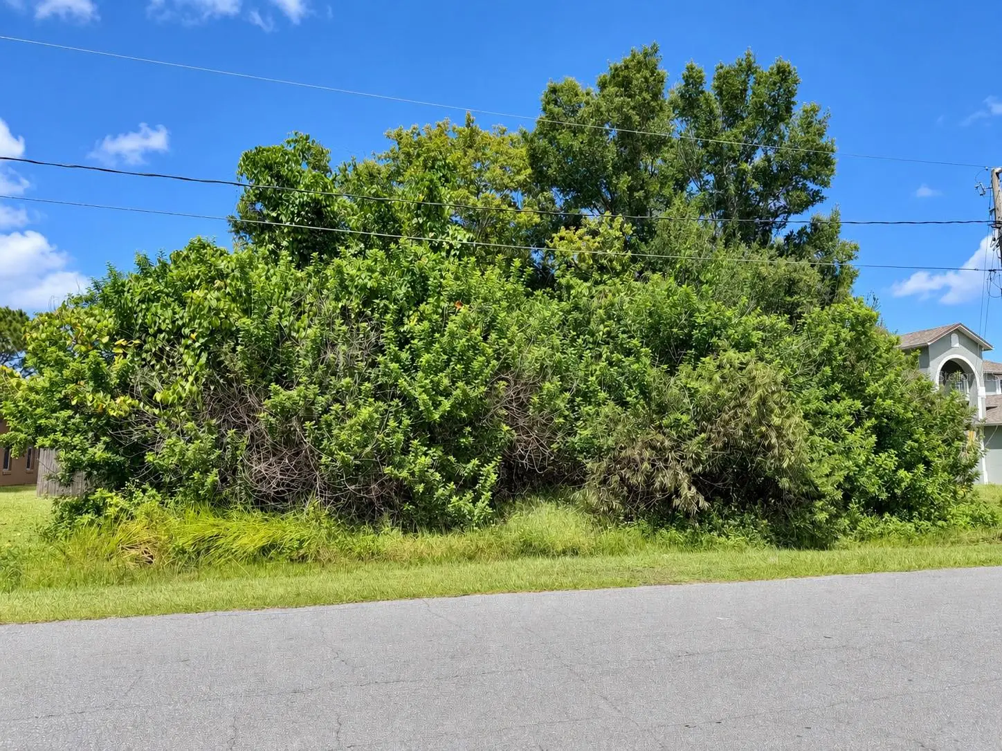 1005 Cannes Drive, FL