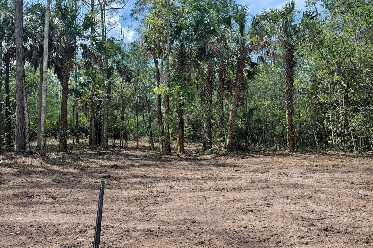 2216 Laurel Avenue, FL