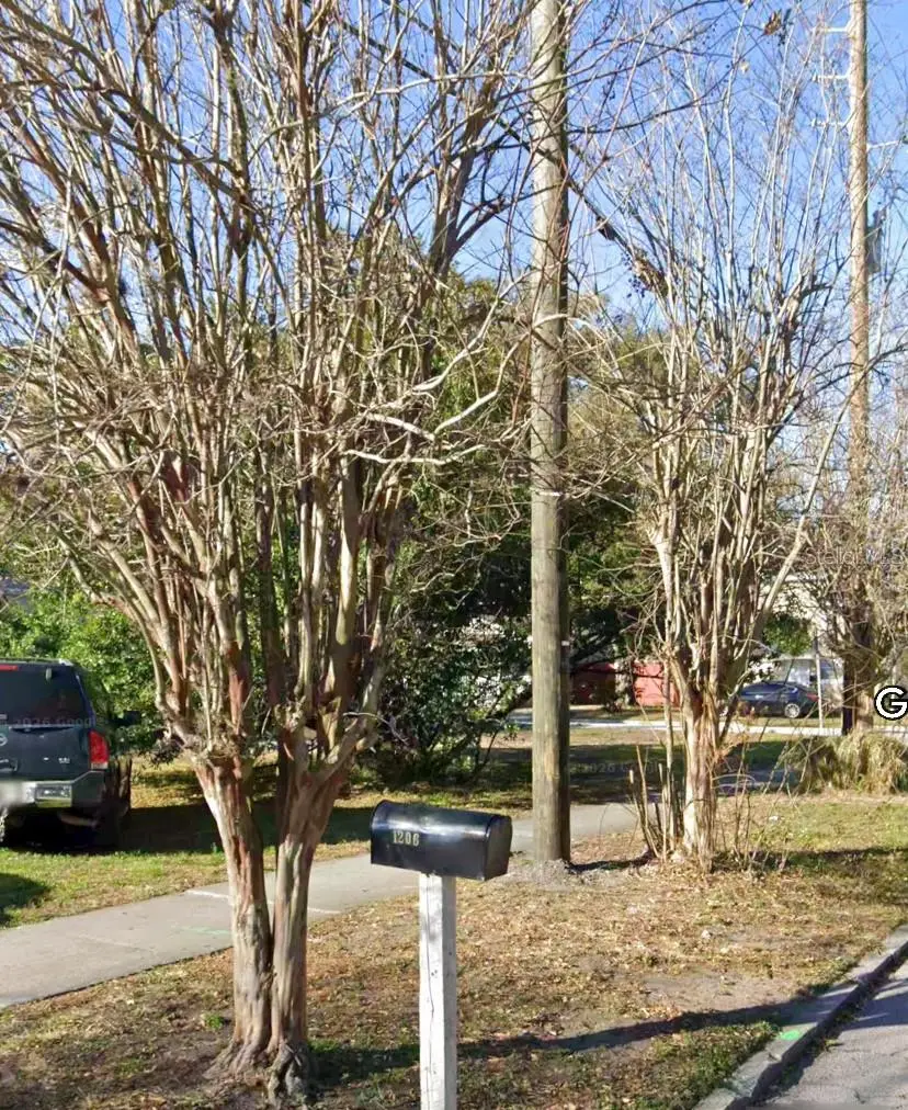 1208 Carter Street, FL