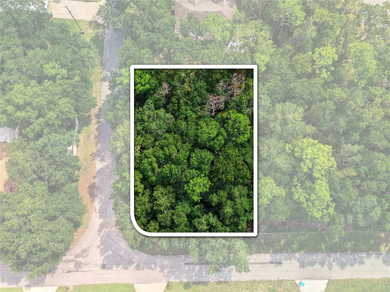 1614 Hill Lane, FL